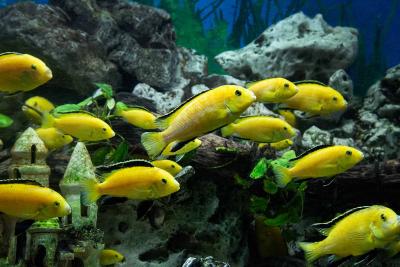 Прикрепленное изображение: IMG_6997.jpg